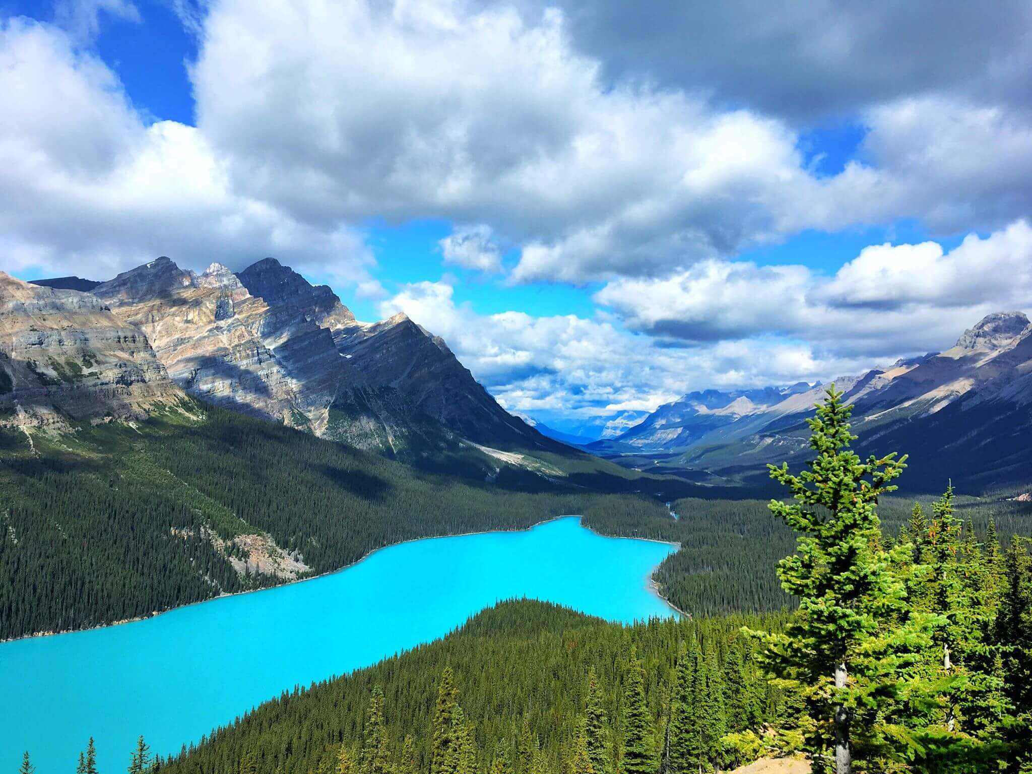Peyto Lake is a glacier-fed lake in Banff National Park in the Canadian Rockies. During the summer, rock particles flow into the lake from a nearby glacier. The lightweight rock particles float suspended in the water for a long time, giving the lake its spectacular turquoise color.